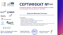 2026 Воронов Максим.pdf