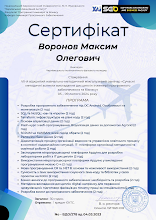 2024 Воронов Максим Олегович.pdf