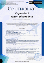2024 Серьогіна_382.pdf