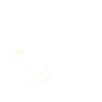 polyetch icon
